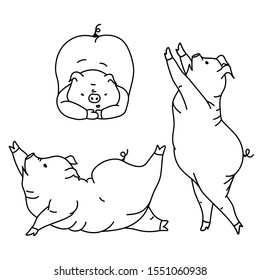 Hand drawn cartoon vector set of cute pigs doing exercises, yoga. Funny pigs, vintage illustration.