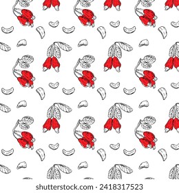 Antecedentes dibujados a mano con anacardos rojos. Ilustración vectorial aislada. Se puede usar para textil, diseño de portada, papel tapiz de cocina. 