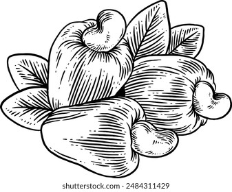 Handgezeichnete Cashew-Frucht-Skizze-Illustration