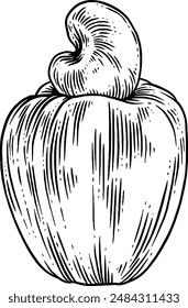 Hand drawn Cashew Fruit Sketch Illustration