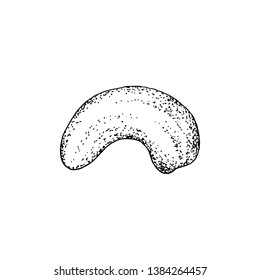 Hand drawn cashew nut isolated on white background. Vector illustration