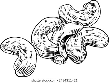 Handgezeichnete Cashewnüsse Skizze Illustration