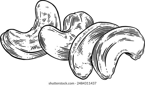 Handgezeichnete Cashewnüsse Skizze Illustration