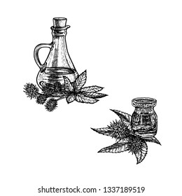 Hand drawn castor oil. Extract of plant. Retro isolated sketches. Vintage collection. Linear graphic design. Black and white image. Vector illustration.