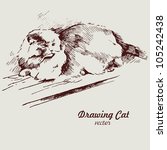 Hand drawn cat