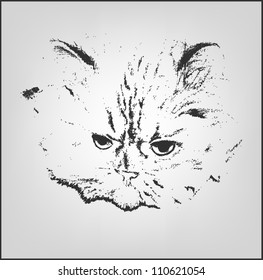 Hand drawn cat