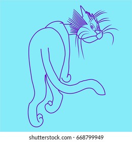 Hand drawn CAT