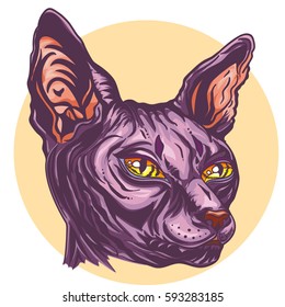 Hand drawn cat breed Sphinx. Hairless naked purple cat. Portrait of a Sphinx cat with yellow eyes, isolated on light background, Graphic  vector illustration.