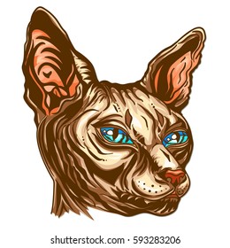 Hand drawn cat breed Sphinx. Hairless naked cat. Portrait of a Sphinx cat with blue eyes, isolated on whitet background, Graphic  vector illustration.