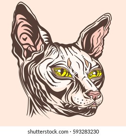 Hand drawn cat breed Sphinx. Hairless naked cat. Portrait of a Sphinx cat with yellow eyes, isolated on light background, Graphic  vector illustration.