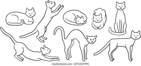 Hand drawn cat in different poses