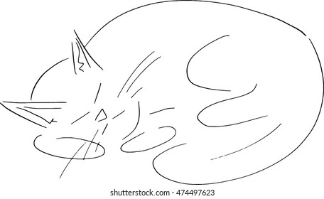 Hand drawn cat. Doodle sleeping cat. Vector image of a sleeper cat.