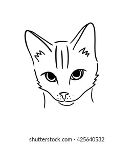 Hand drawn cat face. Advertisement for Animal rescue, veterinary, shop.