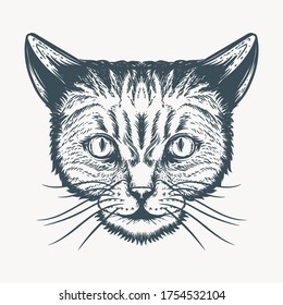 ilustración de la imagen de la cara del gato dibujado a mano 