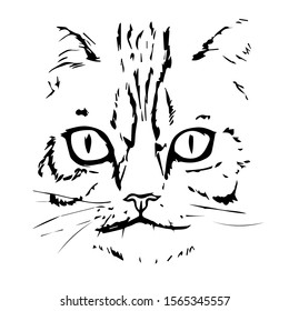Hand Drawn Cat Face. Cat Head. Vector illustration