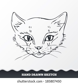 Hand drawn cat face. Sketched kitten's face. Pet symbol. Vector