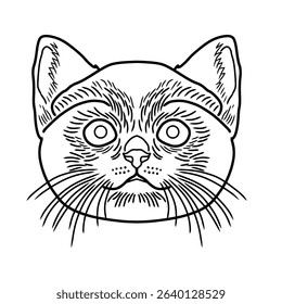 Hand drawn cat face vector illustration. Adorable cat doodles. Pet sketch