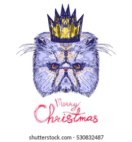 Hand drawn cat head with quote Merry Christmas, vector illustration