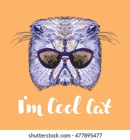 Hand drawn cat head with sunglasses and quote I'm Cool Cat, vector illustration