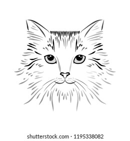 Hand drawn cat head. Tattoo art animal isolated. Doodle line graphic, style design. Black and white, ink drawing mammal. Vector sketch. Cute smiling fuzzy kitten portrait, perfect for apparel prints.