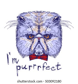 Hand drawn cat head with words Im purrrfect, vector illustration
