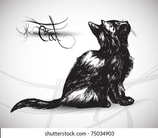 hand drawn cat high quality vector