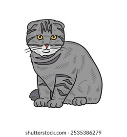 Hand Drawn Cat Illustration Colored - 10
