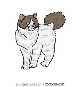 Hand Drawn Cat Illustration Colored - 05