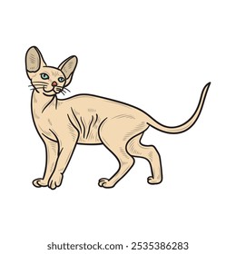 Hand Drawn Cat Illustration Colored - 13