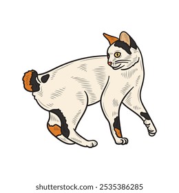 Hand Drawn Cat Illustration Colored - 15