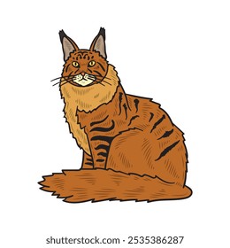 Hand Drawn Cat Illustration Colored - 06