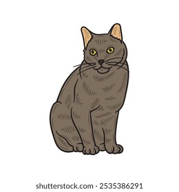 Hand Drawn Cat Illustration Colored - 08