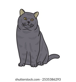 Hand Drawn Cat Illustration Colored - 11