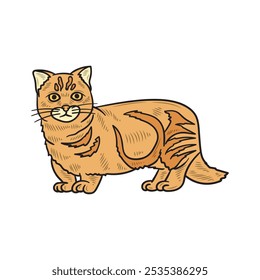 Hand Drawn Cat Illustration Colored - 09