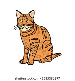 Hand Drawn Cat Illustration Colored - 03