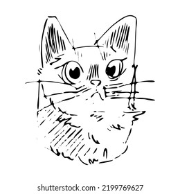 Hand Drawn Cat Illustratition Icon