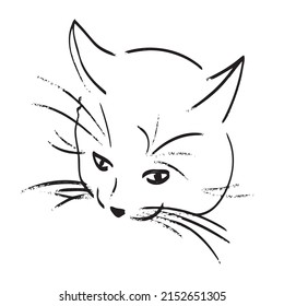 Hand drawn cat isolated on white background. Vector black line sketch illustration. Cute pet in doodle style