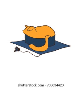 Hand drawn cat laying in square academic cap, school, university, puzzle, secret