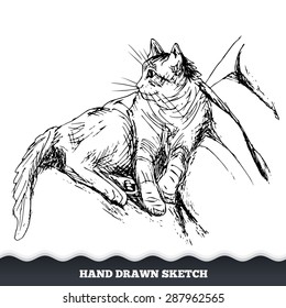 Hand drawn cat. Lying, resting, relaxing, free cat's figure on the pillow. Sketched kitten silhouette with tail and pads. Pet happy,  satisfied, pleased, good condition symbol. Black on white. Vector