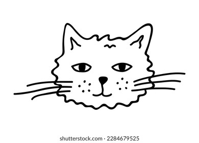 Hand drawn cat muzzle clipart. Cute pet face doodle