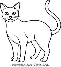 Hand drawn Cat outline illustration, Lineart, Drawing.