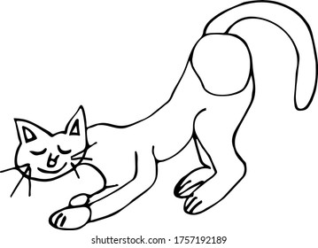 Hand drawn cat. Pet. Stock vector illustration.