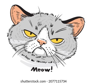 Hand drawn cat portrait. Sad cat face. Cartoon characters. Funny vector illustration. Isolated on white background. 