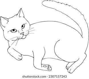 Gato dibujado a mano posando el contorno aislado en fondo blanco. Gato dibujado a mano. Esbozo. Arte vectorial