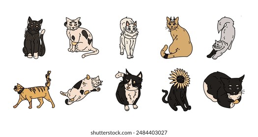 Hand Drawn Cat Set Collection