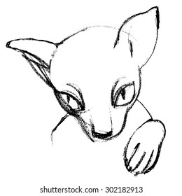 Hand drawn cat sketch
