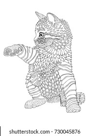 Hand drawn cat. Sketch for anti-stress adult coloring book in zen-tangle style. Vector illustration for coloring page or for print on T-shirt. 