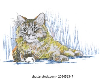 Hand drawn cat sketch vector