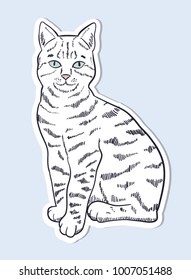 Hand drawn cat sticker