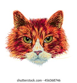 Hand drawn cat. Vector illustration